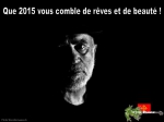 Meilleurs vœux 2015